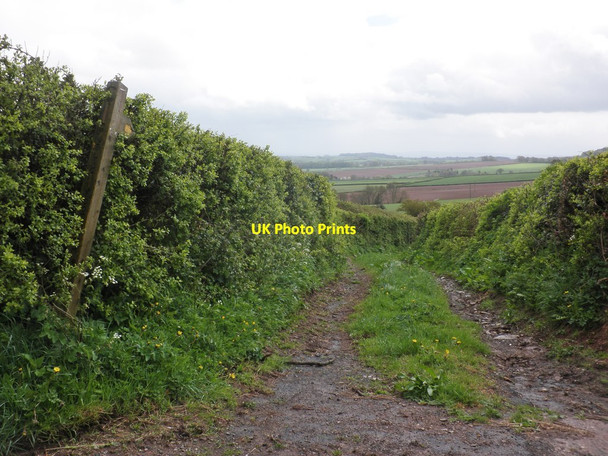 Photo 6"x4" Lower Ashbeer Lane Ashbeer c2013