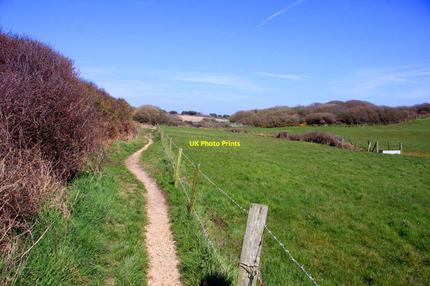 Photo 6"x4" Footpath to the car park Downton\/SZ2693 c2013