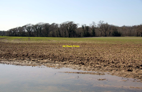 Photo 6"x4" Arable field by Hordle Lane Hordle c2013