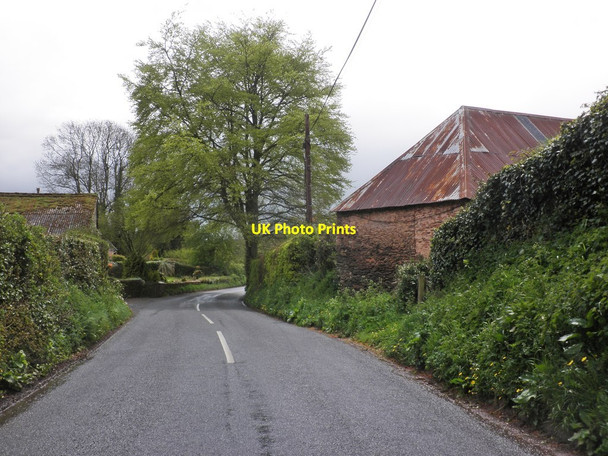 Photo 6"x4" The B3188 near Knight's Farm Ashbeer c2013