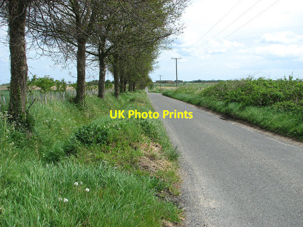 Photo 6"x4" View along Hall Road, Reedham Limpenhoe Hill c2013
