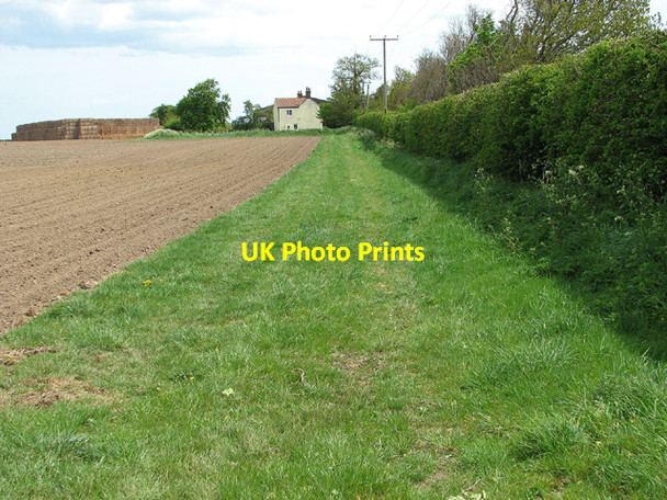 Photo 6"x4" Cottage by Hall Farm, Reedham Reedham\/TG4201 c2013