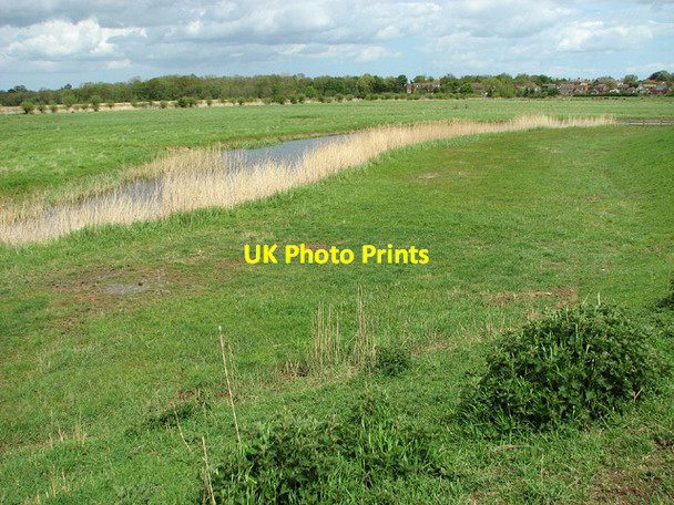 Photo 6"x4" Marsh pastures beside Ferry Road, Reedham Reedham\/TG4201 c2013