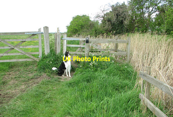 Photo 6"x4" Gate on footpath to Station Road, Reedham Reedham\/TG4201 c2013