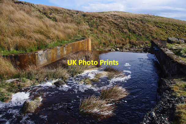 Photo 6"x4" Grizedale Intake, Grizedale Brook Hare Appletree c2013 P1