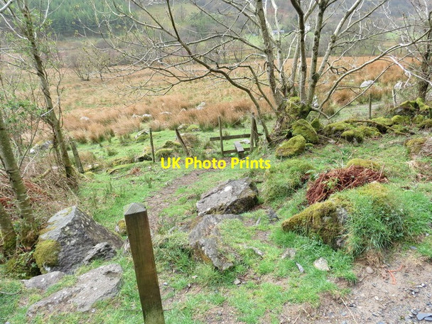 Photo 6"x4" Llwybr yr Hendre Footpath Capel Curig c2013
