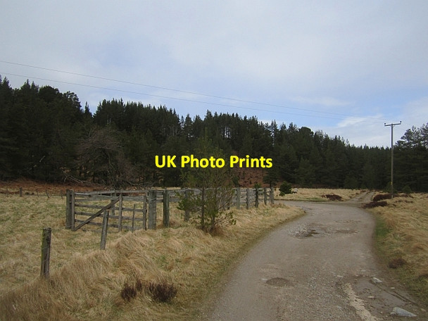 Photo 6"x4" Sheep pens, Forest Lodge Clachaig\/NJ0218 c2013