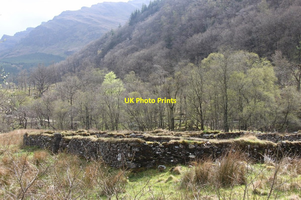 Photo 6"x4" Near Pole Farm by the Goil Lochgoilhead c2013