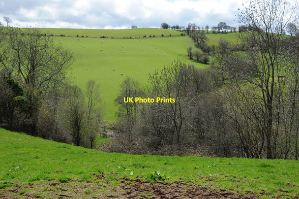 Photo 6"x4" Farmland in the Cilieni valley Pentre'r-felin\/SN9130 c2013