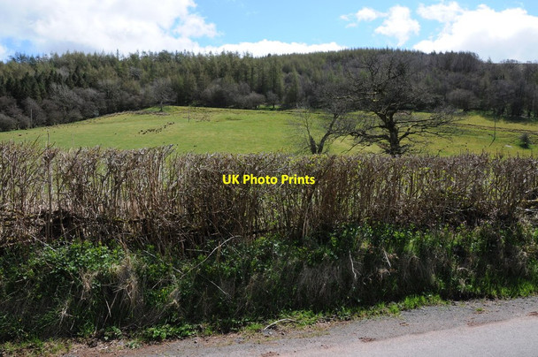 Photo 6"x4" Yr Allt Pentre'r-felin\/SN9130 c2013