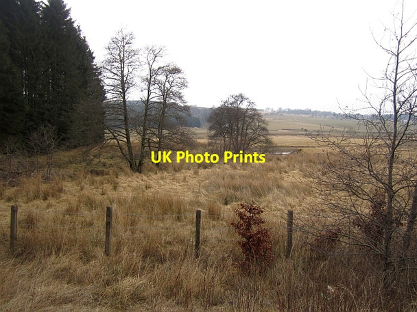 Photo 6"x4" Wetland beside the Douglas Water Douglas\/NS8330 c2013