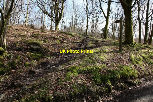 Photo 6"x4" Bridleway, Broughton Moor Broughton Mills c2011