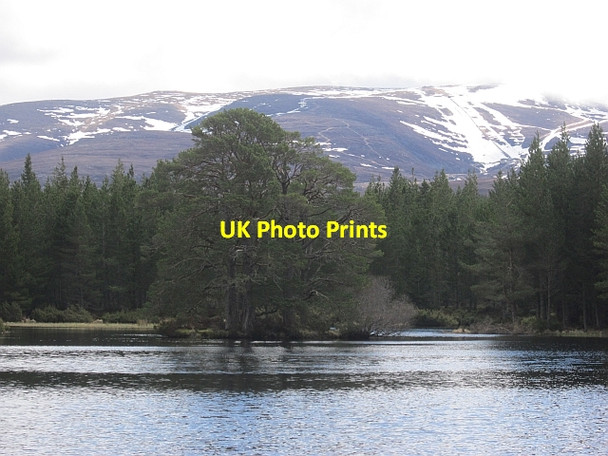 Photo 6"x4" Lochan nan Geadas Lochan nan Geadas\/NH9508 c2013