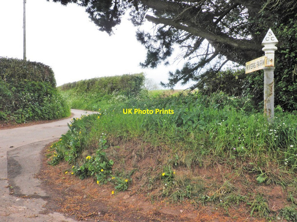 Photo 6"x4" Turning for Rivers Farm Fitzhead c2013