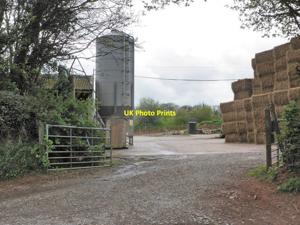 Photo 6"x4" Poultry Farm, near Fitzhead Pond Close c2013