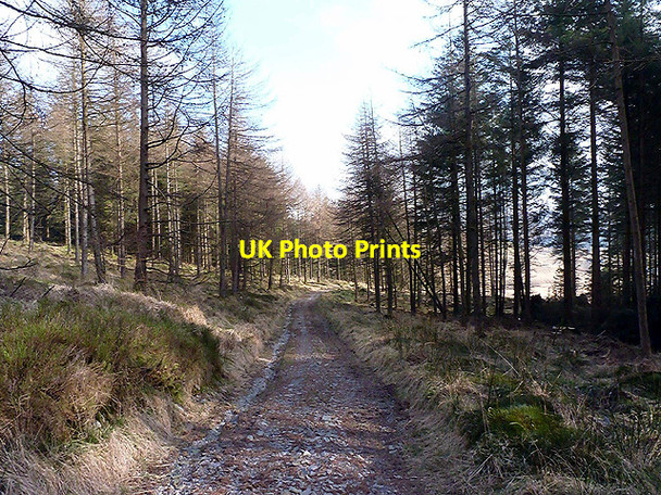 Photo 6"x4" Track to Anglers' Retreat New Pool\/SN7492 c2013