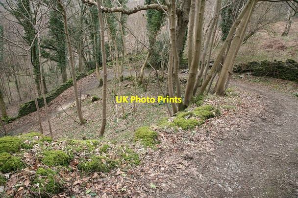 Photo 6"x4" Track to Bank End Bank End\/SD1988 c2010