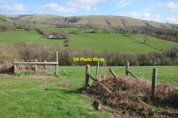 Photo 6"x4" Cwm Lwyd and Mynydd Myddfai Myddfai c2013