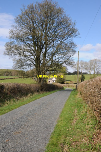 Photo 6"x4" Country road east of Myddfai Myddfai c2013