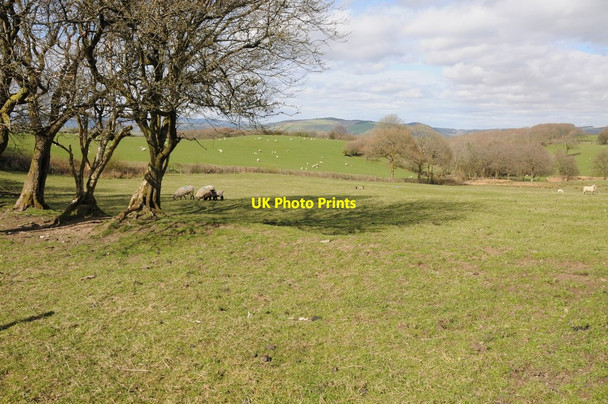Photo 6"x4" Farmland near Dagfa Halfway\/SN8232 c2013