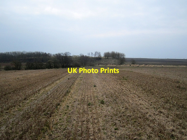 Photo 6"x4" Stubble, Inch Pittenweem c2013
