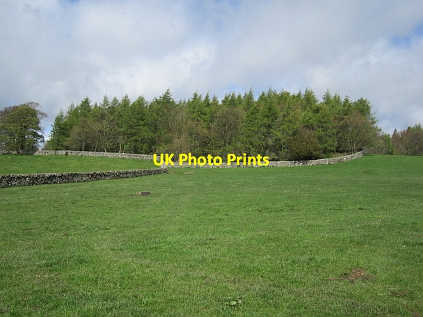 Photo 6"x4" Kilbrackmont Craig Wood Largoward c2013
