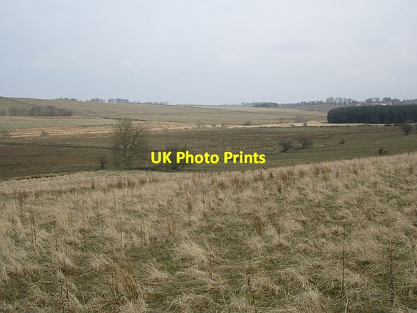 Photo 6"x4" Wetland near New Gilston Backmuir of New Gilston c2013