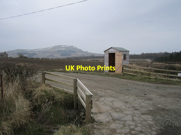 Photo 6"x4" Egg box Woodside\/NO4207 c2013