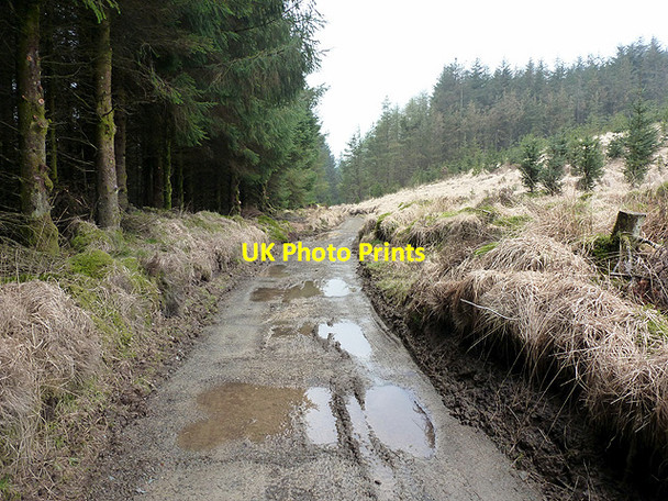 Photo 6"x4" Forestry road at Foel Cerrig-gwynion Afon Llechwedd-mawr c2013