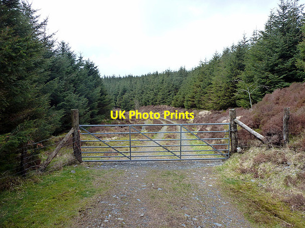 Photo 6"x4" Locked gate into the forestry by Hafodwnog Nant y Gog c2013