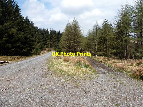 Photo 6"x4" Two routes to Anglers' Retreat Llyn Dwfn c2013