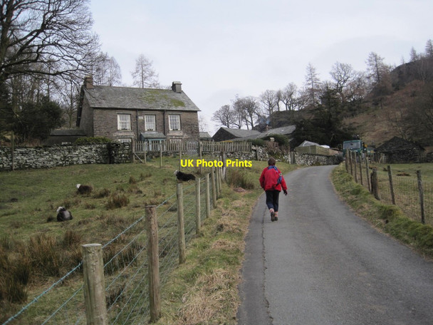 Photo 6"x4" Holme Ground Little Langdale c2013
