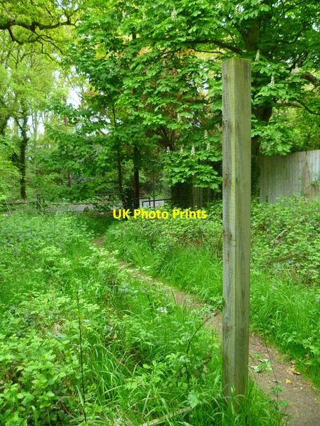 Photo 6"x4" Footpath reaches West End Lane Farnham Park\/SU9683 c2013