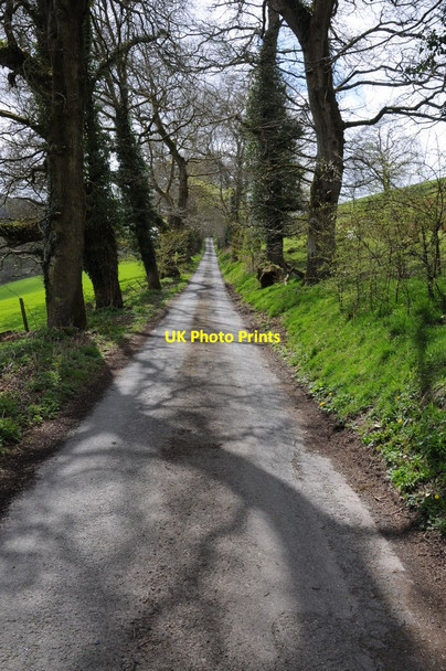 Photo 6"x4" Country road near Talley Talley c2013