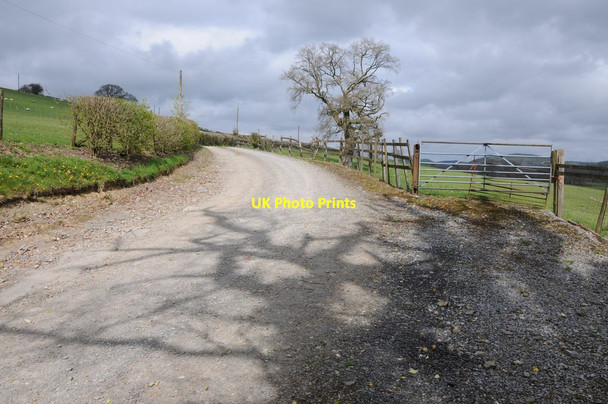 Photo 6"x4" Drive to Tyncwm Llansawel c2013