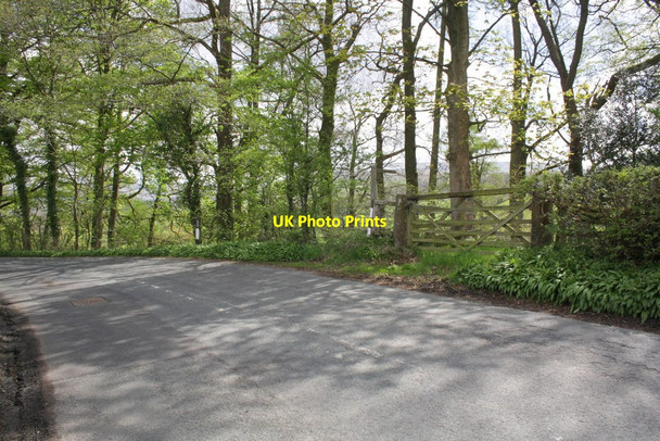 Photo 6"x4" Dentdale road at Mill Wood Gawthrop c2013