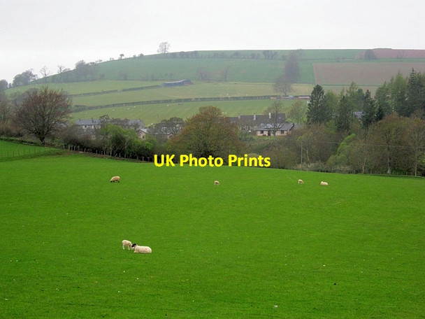 Photo 6"x4" Field by Bonchester Bridge Bonchester Bridge c2013