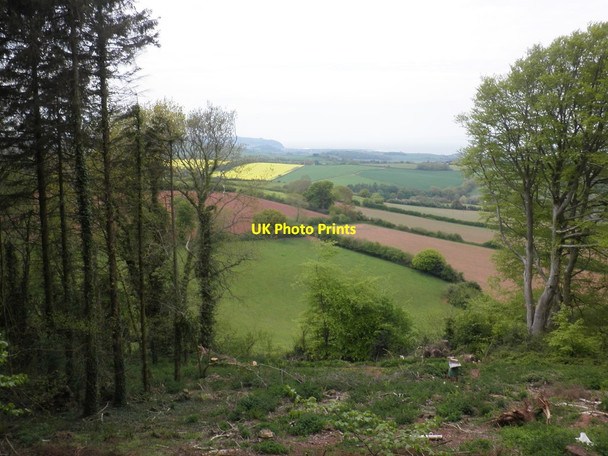 Photo 6"x4" View towards the Bristol Channel Beggearn Huish c2013