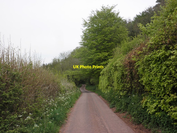 Photo 6"x4" Woodadvent Lane Chidgley c2013