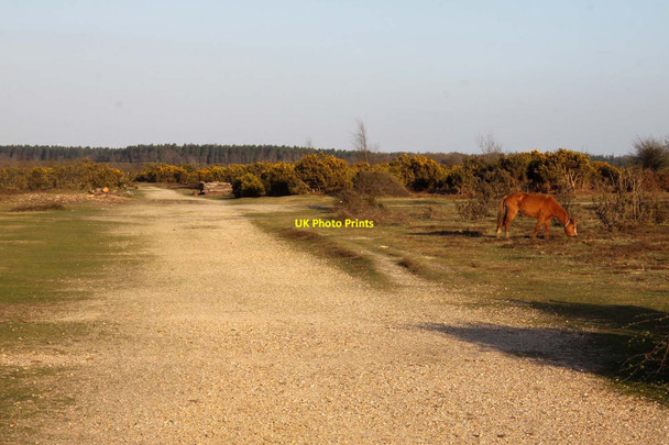 Photo 6"x4" Track along Park Pale Clayhill\/SU3007 c2013