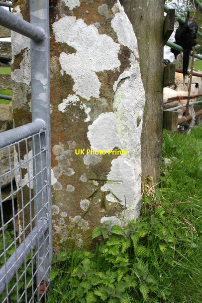 Photo 6"x4" Benchmark on Hill Lane gatepost Gawthrop c2013
