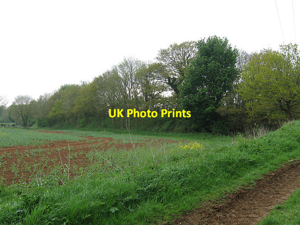 Photo 6"x4" The effects of quarrying Horley\/SP4143 c2013