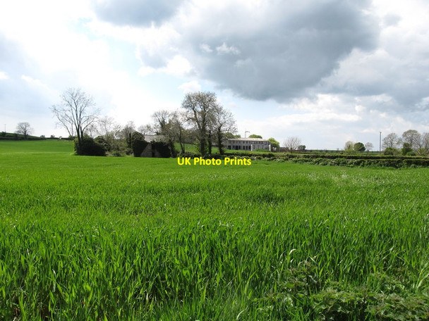 Photo 6"x4" Cropland surrounding Urney Graveyard Forkhill c2013