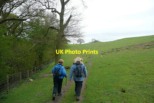 Photo 6"x4" On The Owlets Little Stretton\/SO4491 c2013