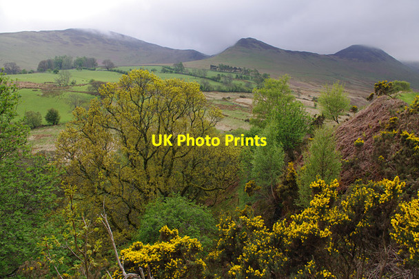 Photo 6"x4" Coledale from the track to Force Crag Braithwaite\/NY2323 c2013