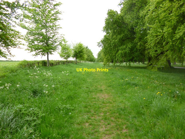 Photo 6"x4" Pamphill, bridleway Tadden c2013