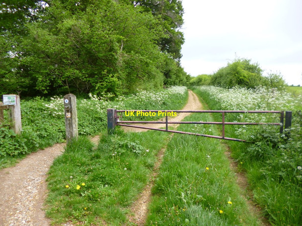 Photo 6"x4" Pamphill, gates Tadden c2013
