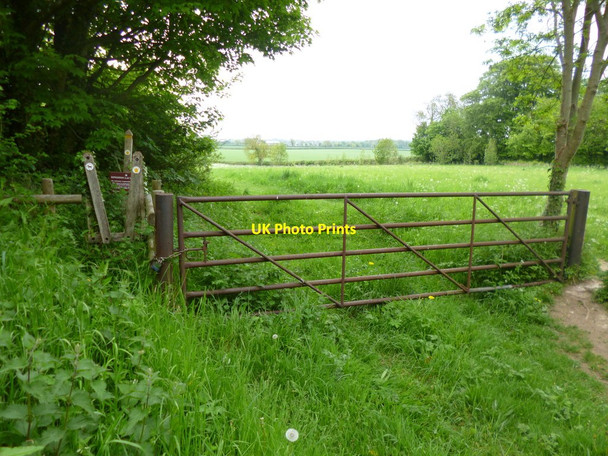 Photo 6"x4" Pamphill, gate and stile Tadden c2013