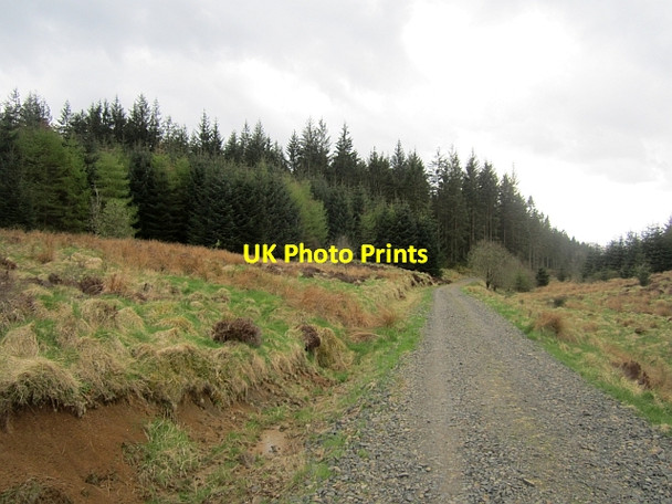 Photo 6"x4" Logging road, Newcastleton Forest Whithaugh c2013