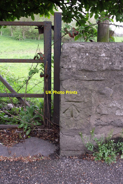 Photo 6"x4" Benchmark on wall of North Road Ripon c2013